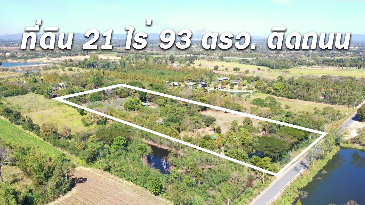 ขายที่ดินเขาใหญ่ 21ไร่ 93 ตรว.  (ไร่แม่กระต่ายน้อย)  ต.ขนงพระ อ.ปากช่อง จ.นครราชสีมา