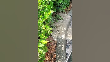 Commercial main line water leak found by The Water Leak Detectors