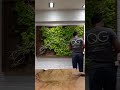 QG Floral Time Lapse - Preserved Moss Wall Art