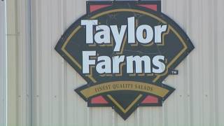 'False positive' in Taylor Farms Cyclospora test