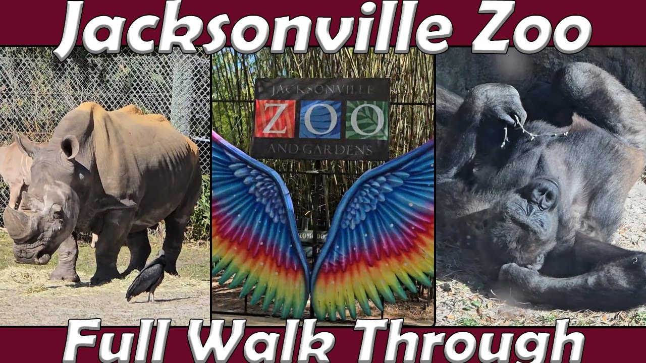 Walk Through: Jacksonville Zoo and Gardens (Jan 10th, 2025)