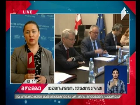 თბილისს ვენეციის კომისიის დელეგაცია ეწვია