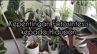 SAINS TAHUN 4 - KEPENTINGAN FOTOSINTESIS KEPADA HIDUPAN