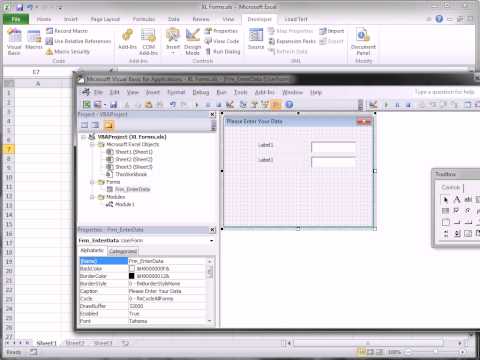 Excel VBA: Using Forms in Excel