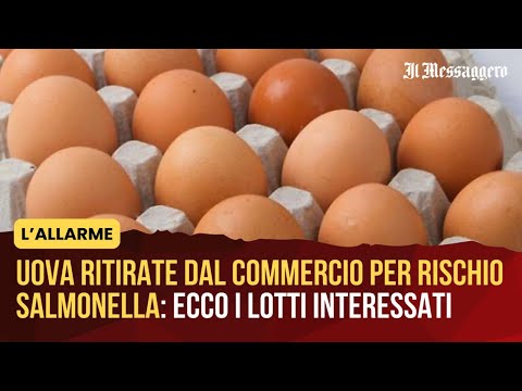 Video Uova ritirate dal commercio per rischio salmonella: ecco i lotti coinvolti
