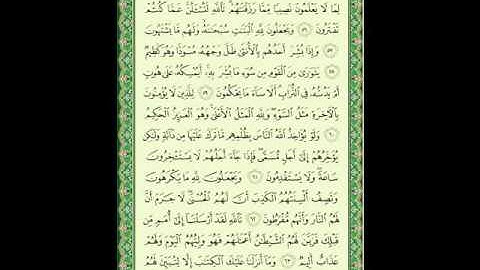 سورة النحل 7 من الأية 55 إلى  64
