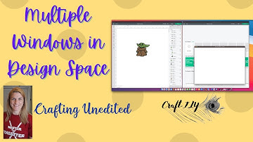 Using Design Space in Multiple Windows