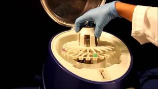 Troubleshooting FastPrep 24 5G   Loading samples