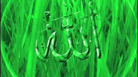 سورة الرحمن بصوت القارئ سعد التوم