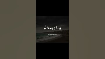 سورة الشورى الآية (٢٨)