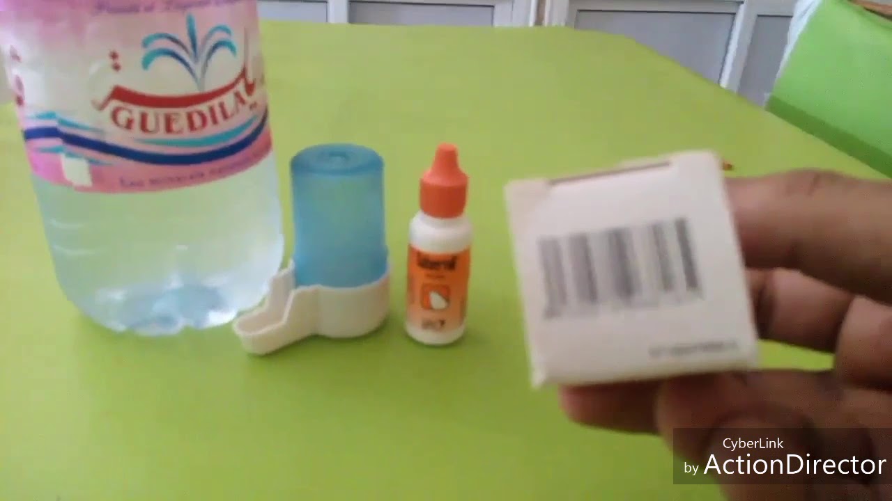 إعادة موضوع مرحلة تغيير الريش و طريقة تقديم tabernil  muda و فوائده الرائعة