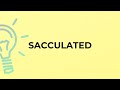 What is the meaning of the word SACCULATED?