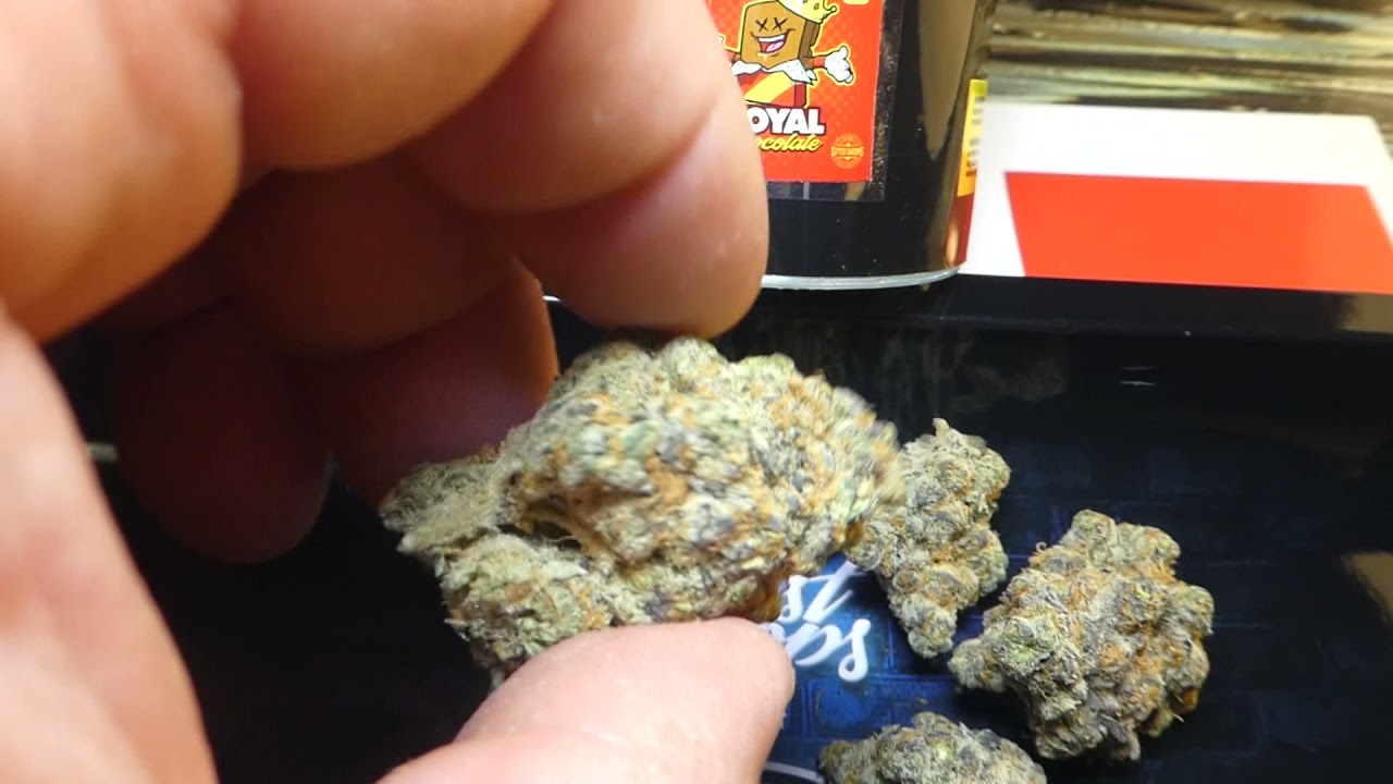 Royal Chocolate fr Ghost Drops