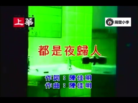 许美静-都是夜归人(1996)-(主唱)-KTV