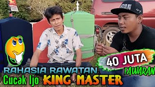 Bongkar Rawatan Cucak Ijo King Master & Genthong Bersama Mr. Empang @Cucak Ijo Sumenep