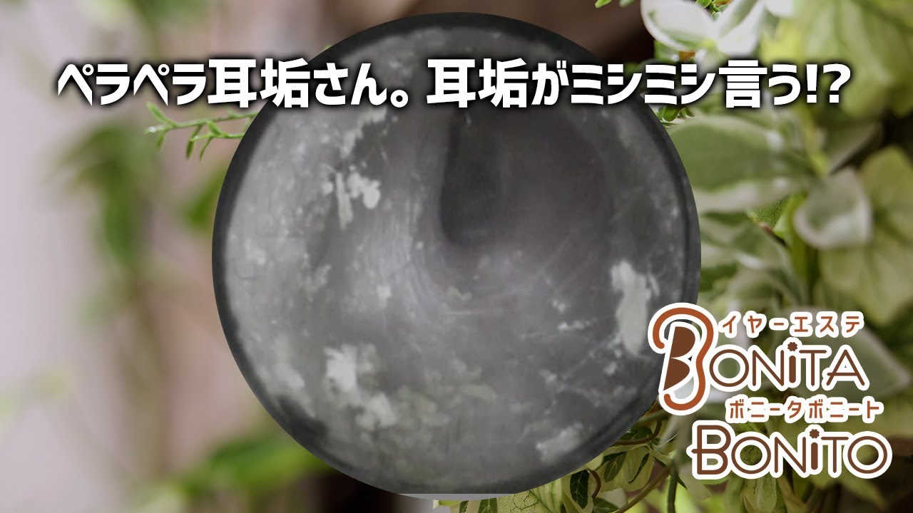 ペラペラな壁耳さん 耳垢がミシミシ言う Youtube