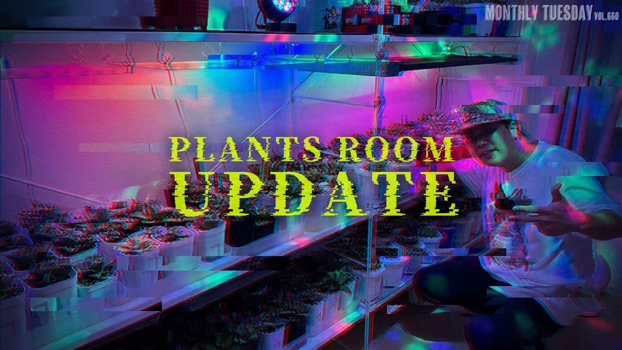 Plant Growing Room] My indoor watering update took an unexpected