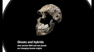 Ghosts and Hybrids: How ancient DNA and new fossils are changing human origins