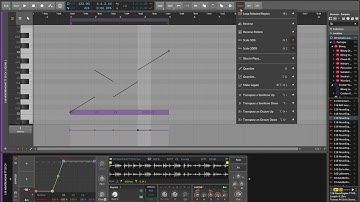 Bitwig, micro-pitch experssion + keytracking + moving sampler freezed playhead