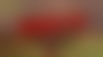 How to survive 2 - Episode 01 (Kovac TV)