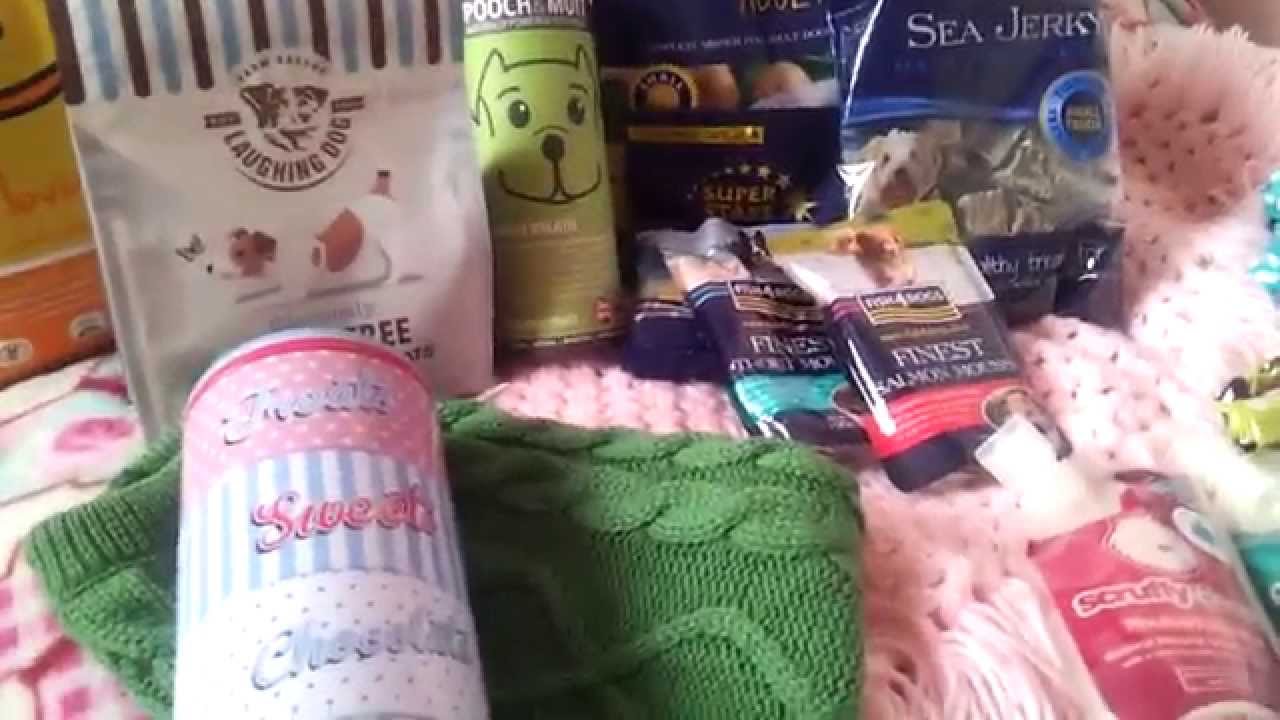 puppy haul big puppy haul puppy haul big puppy haul