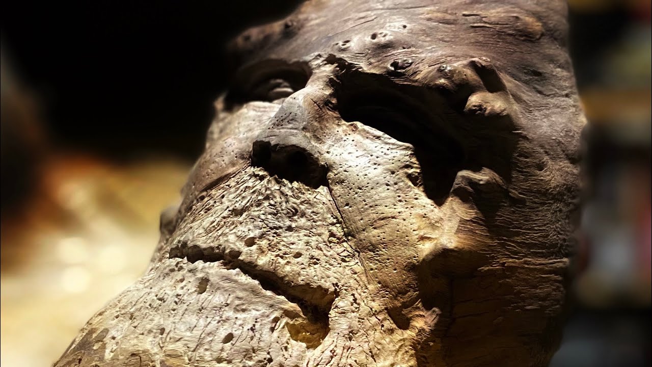 Sasquatch - Bigfoot Dremel Time-lapse Carving