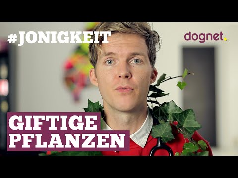 giftige-pflanzen-für-hunde-&-katzen---#jonigkeit-03