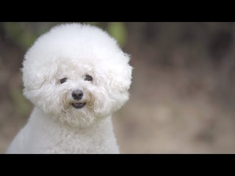 오왠 (O.WHEN) - 숙면 (Official Video)
