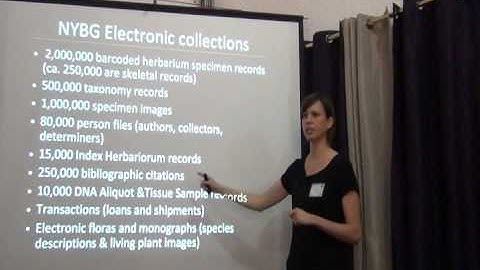 BITC / Data Capture - Workflow Analysis - 1