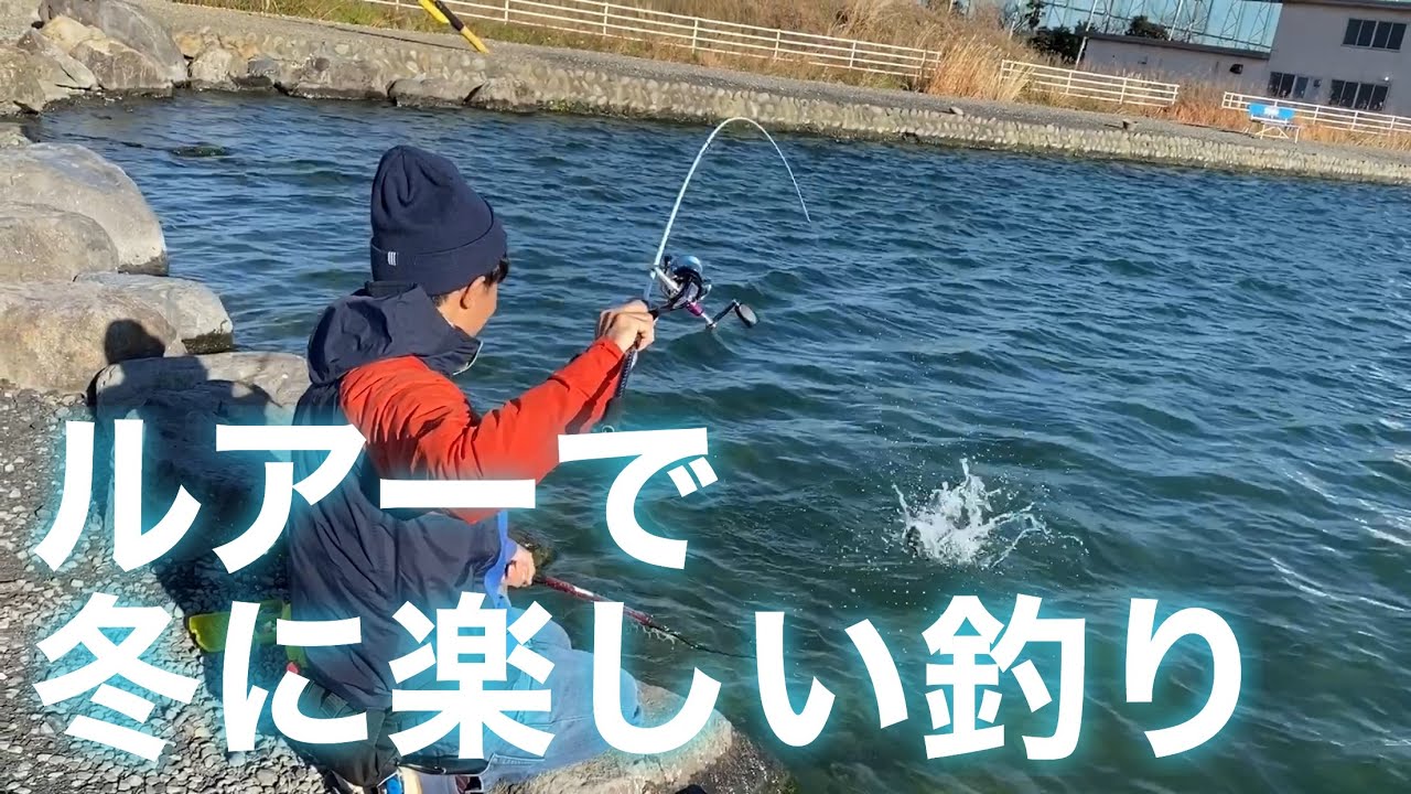 冬にヒャッハー ルアー釣りが手軽に楽しめる場所 Youtube