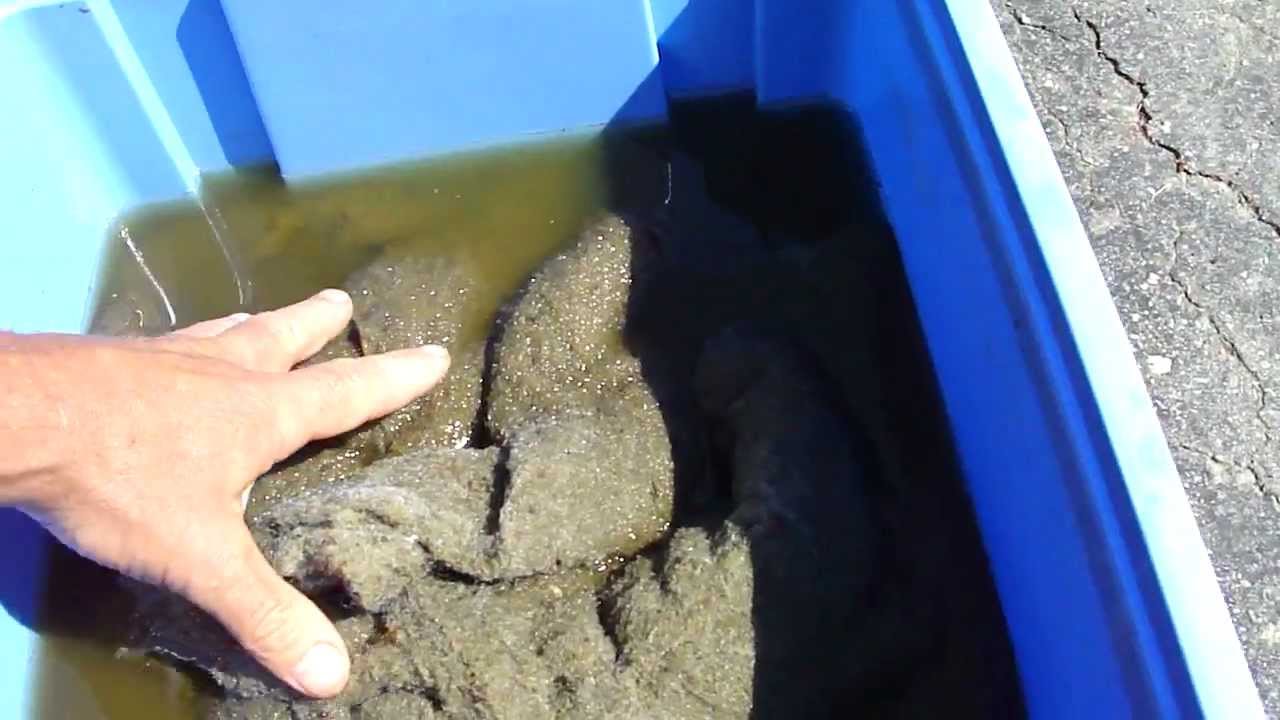 Quilt Batting YouTube