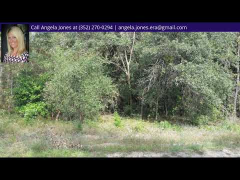 383 E Benjamin Street, Hernando, FL home video tour
