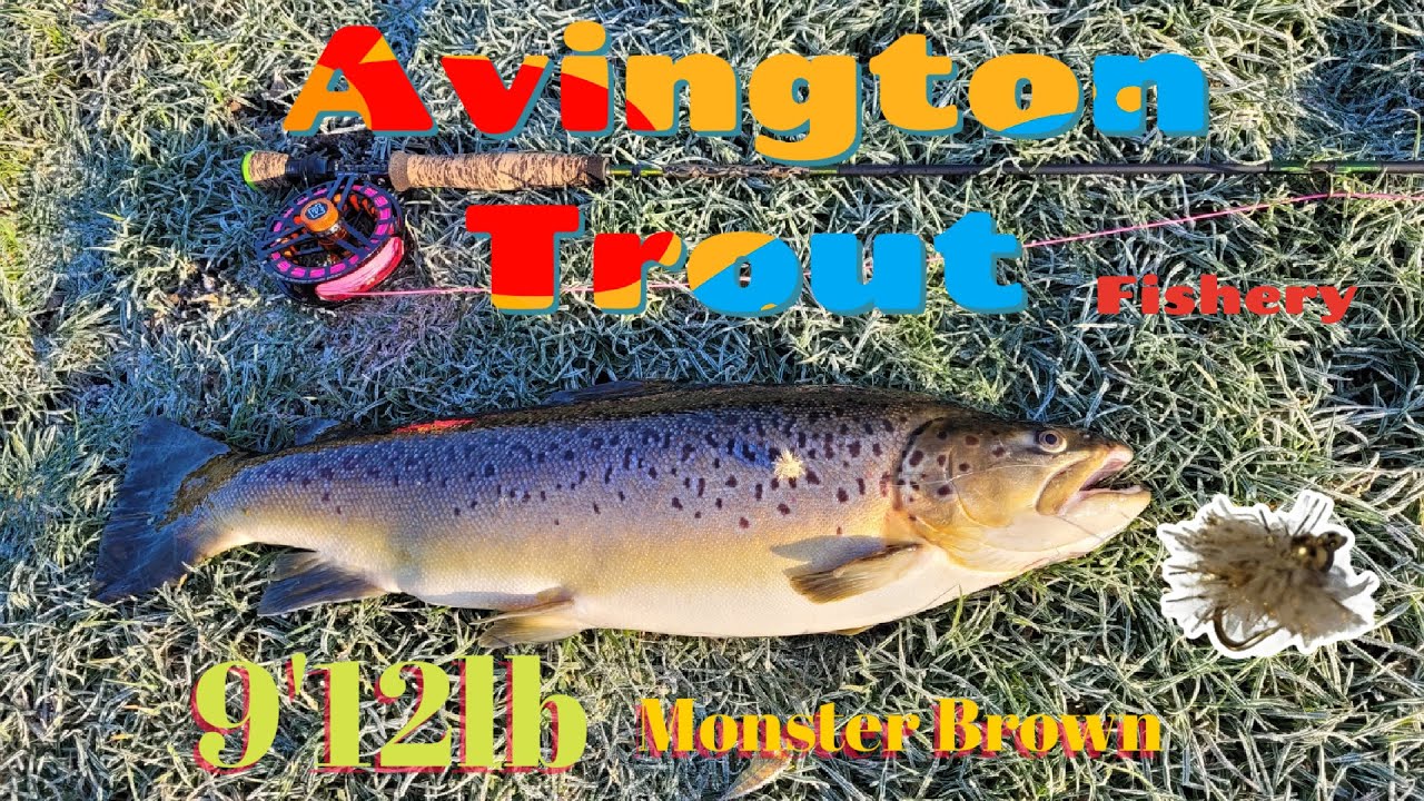 Рыболовство в Авингтоне — Удивительная схватка с гигантской ручьевой форелью — PB Brown Trout 