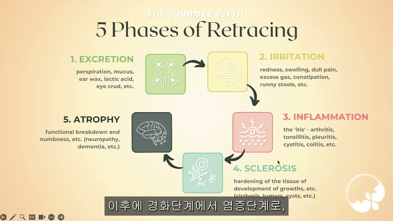 정화 호전 반응과 정화 과정