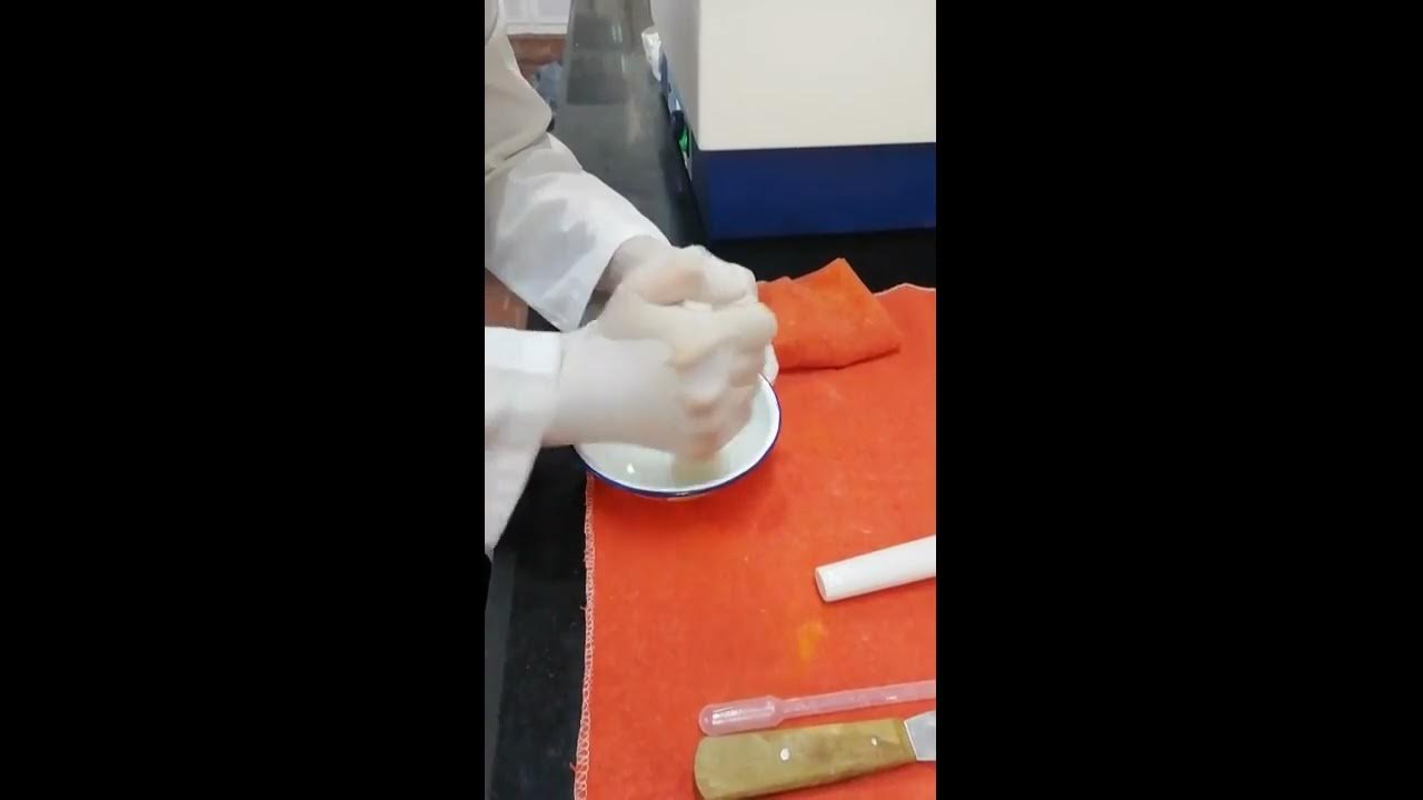 PEG Ointment YouTube