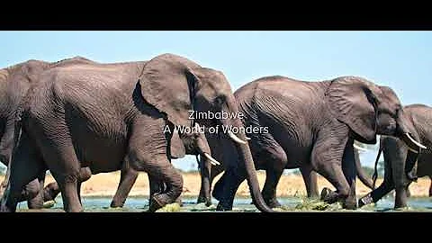 Zimbabwe – A World of Wonders