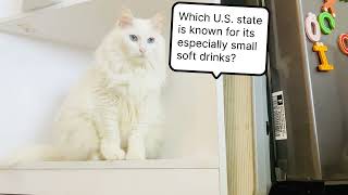 😹 Which U.S. state is known for its especially small soft drinks? 😹 Funny Cats - Funny Jokes screenshot 2
