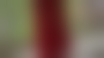 System Sensor PA400R