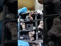 Baterías que no se pueden reparar aún después de un tiempo sin funcionar. Esto les pasa!.