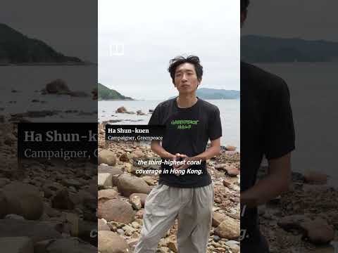 Sharp Island patrols boosted for China’s “golden week”