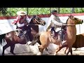 Melipilla 2017/12 rodeo don sergio perez y don claudio bustos