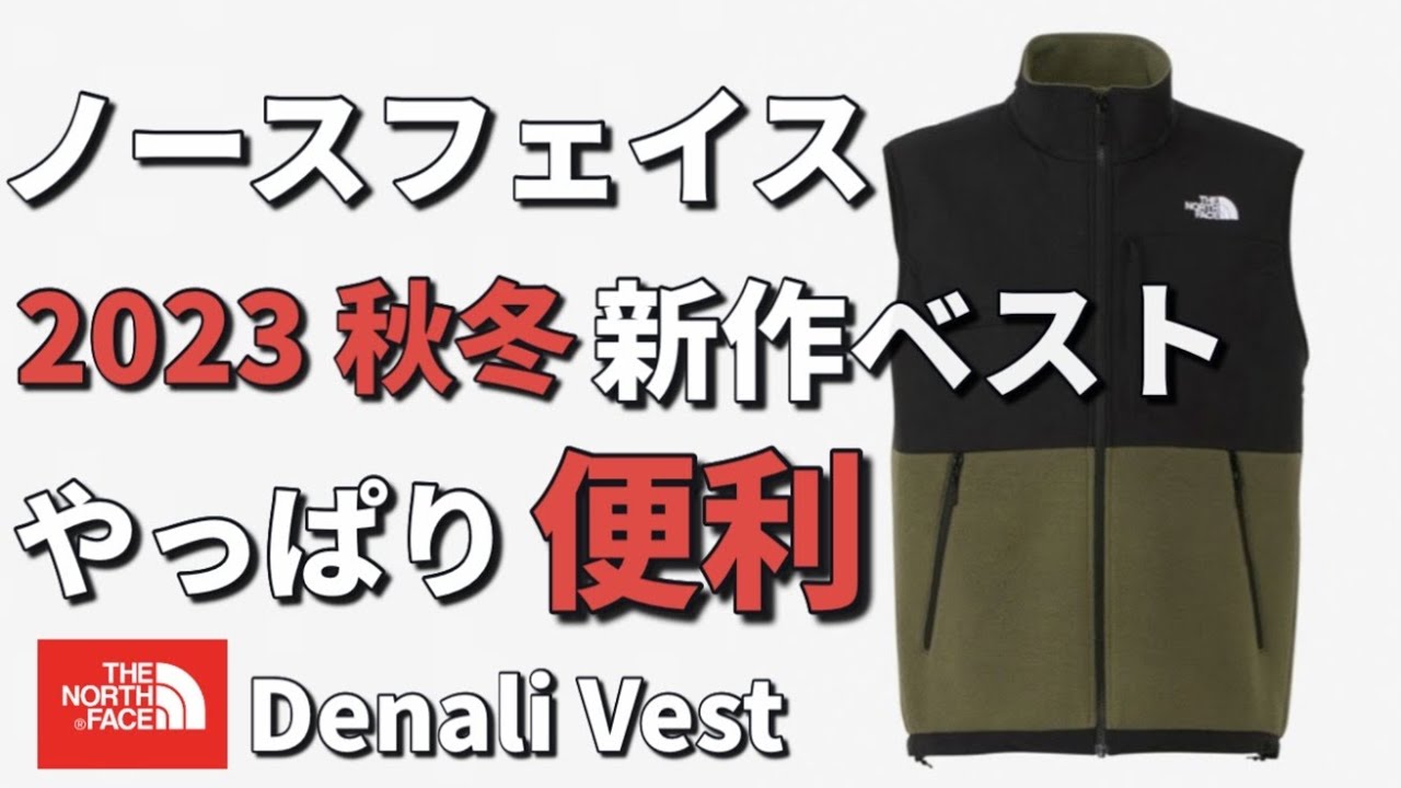 THE NORTH FACE DENALI VEST　デナリベスト 海外限定 THE NORTH FACE（ザノースフェイス）“DENALI VEST（デナリベスト