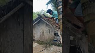 GREAT FLOOD 😱😭 #comedy #funny #shortvideo