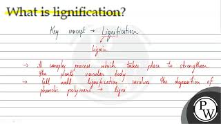 What is lignification? screenshot 5