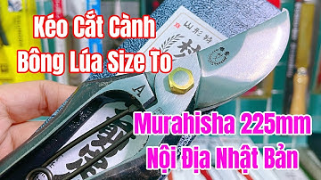 [ Tập 1822 ] Kéo cắt cành Bông Lúa Murahisa 225mm nội địa Nhật Bản