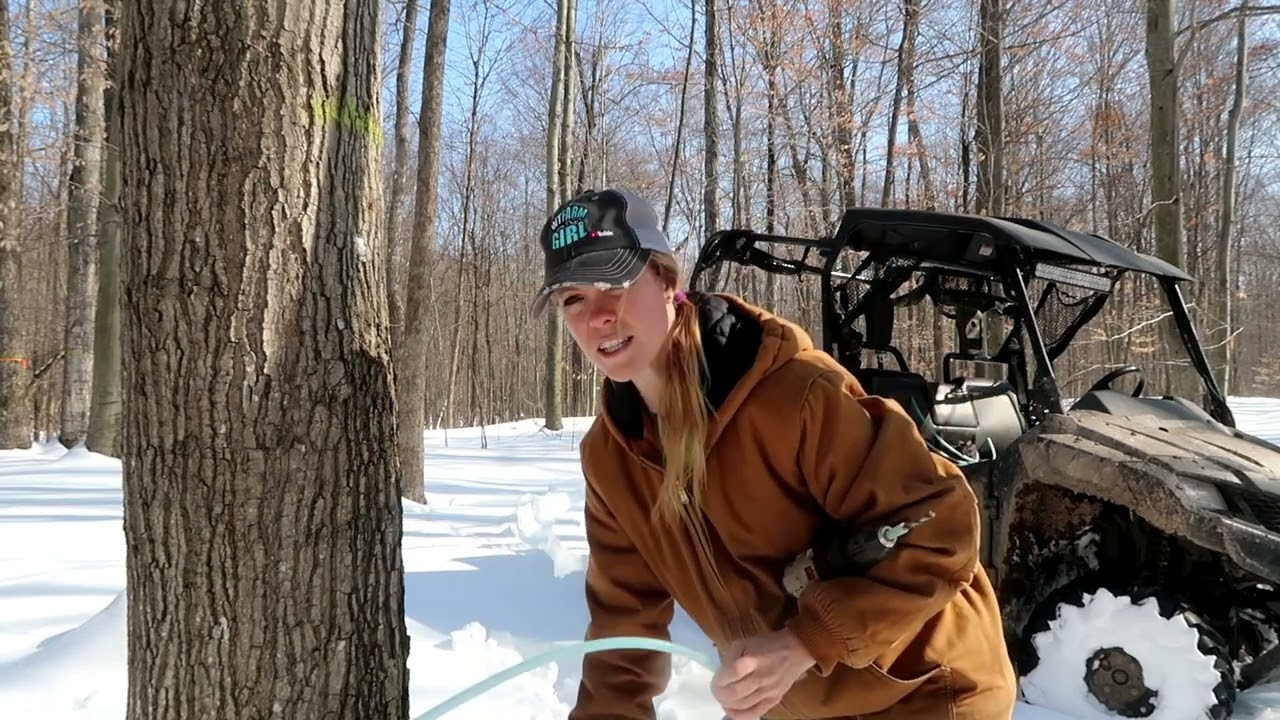 How to Tap Your Maple Trees to Make Maple Syrup! And helpful tips!