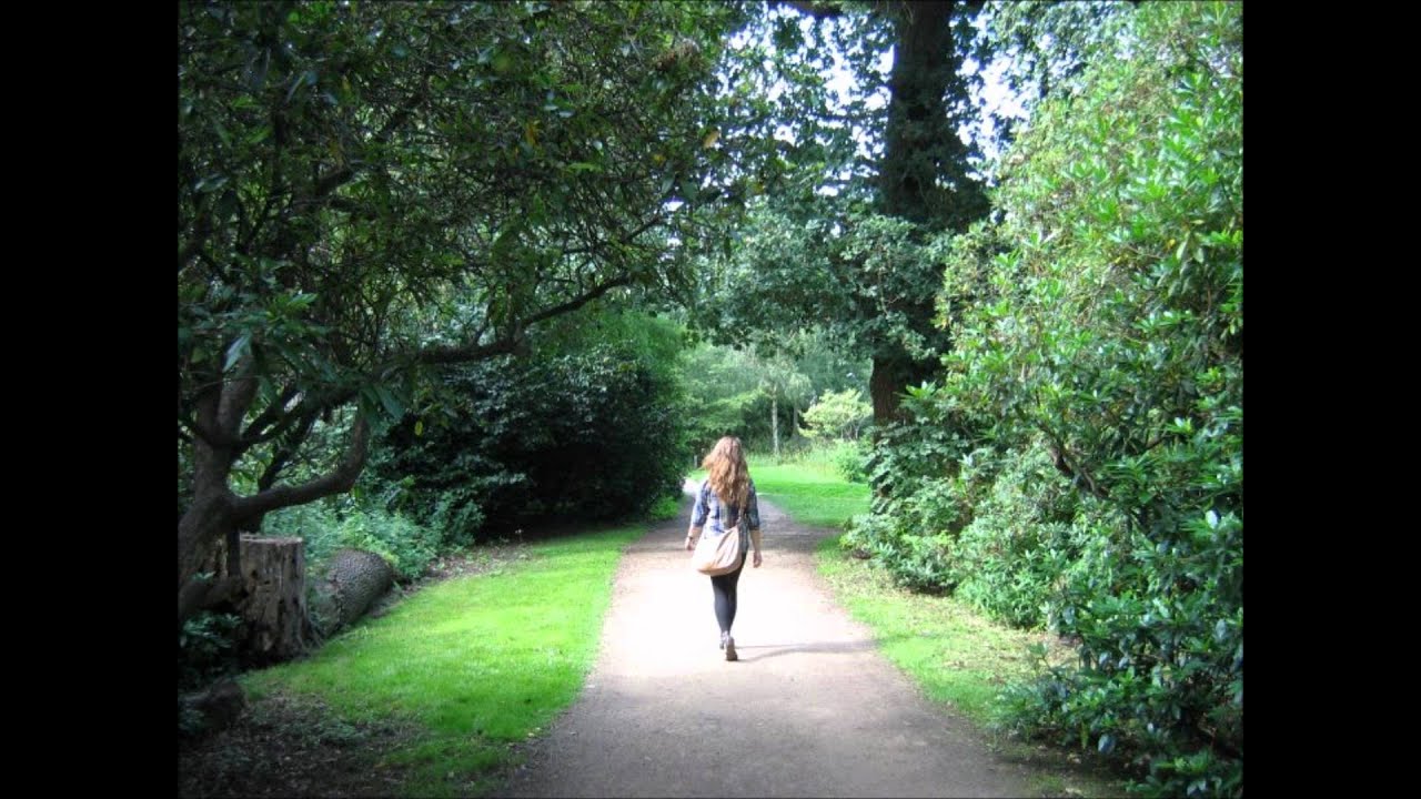 Jaromír Podešva - the second part out of five from his Rhapsodietty