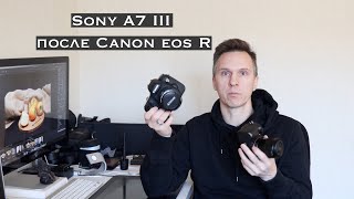 : Sony a7 III  Canon eos R