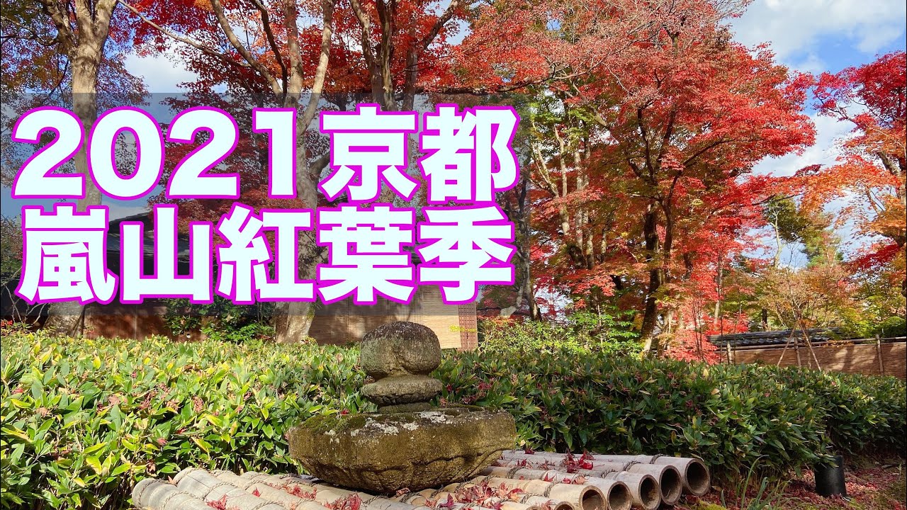 【日本旅遊】2021秋京都嵐山紅葉季｜天龍寺·寶嚴院·渡月橋·嵯峨野·保津峽賞楓 [4K VLOG]