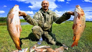 видео: Рыбалка на паук с подводной камерой! Подводные съемки рыбалки. Сазан рыбалка. Рыбалка на сазана 2021 картинка: Рыбалка на паук с подводной камерой! Подводные съемки рыбалки. Сазан рыбалка. Рыбалка на сазана 2021